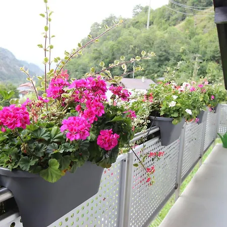 Holiday In M Rel Near The Aletsch Ski Area Lejlighed *