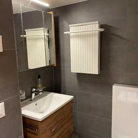 Holiday In M Rel Near The Aletsch Ski Area Lejlighed Mörel