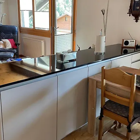 Holiday In M Rel Near The Aletsch Ski Area Lejlighed