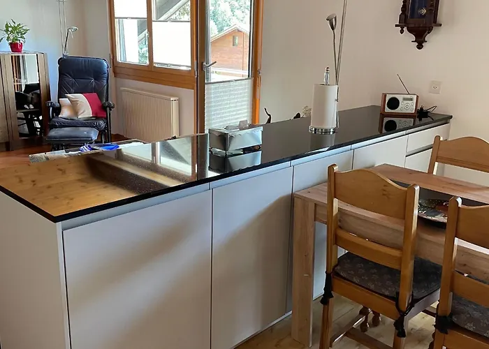 Holiday In M Rel Near The Aletsch Ski Area 公寓